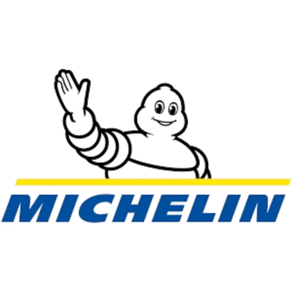 Michelin 200/55 R 16 77H ROAD W GT TL (rear tire)